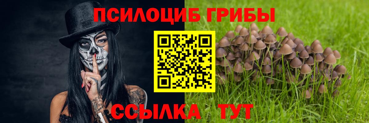 Галлюциногенные грибы ЛСД Таганрог