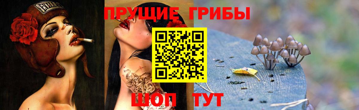 Таганрог  где купить наркотик  Вход с VPN  Галлюциногенные грибы Psilocybine cubensis 